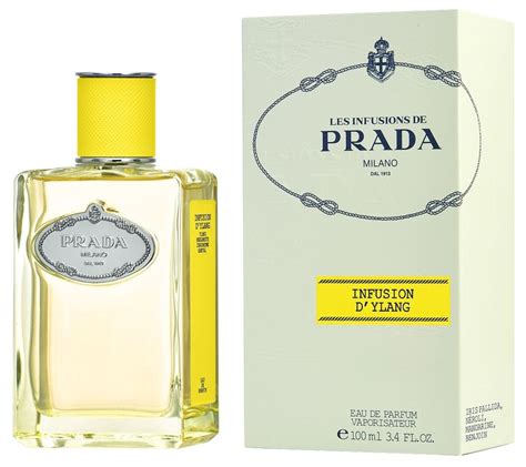 ebay prada infusion d& 39|prada infusion d'ylang.